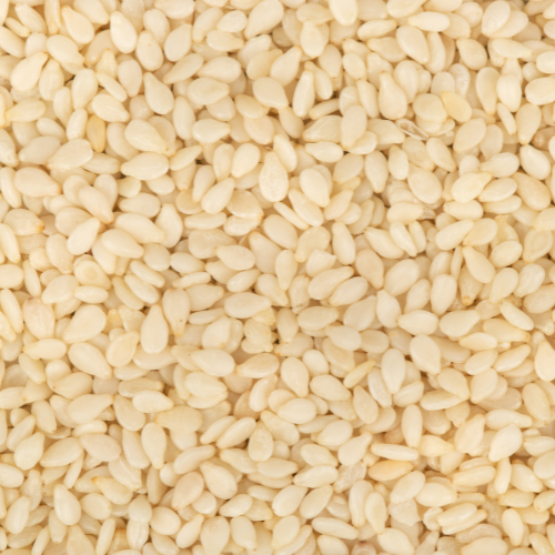 Sesame Seed Exporters From India