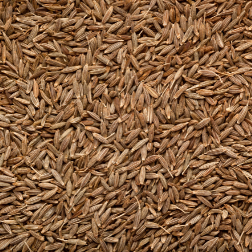 Cumin Seeds Suppliers, Manufacturers And Exporters In India