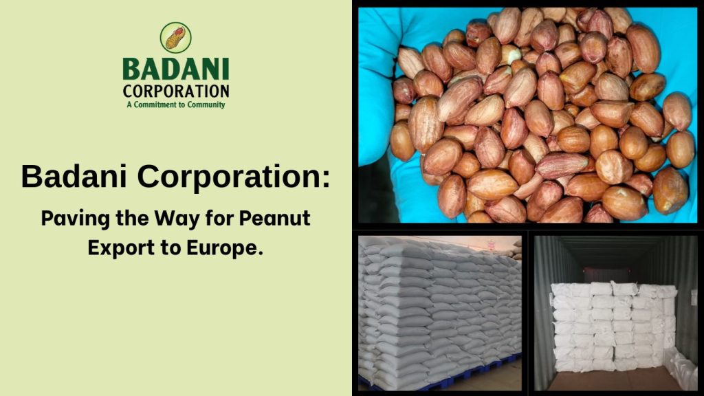 Badani Corporation: Leading the Way in Exporting Peanuts to Europe.
