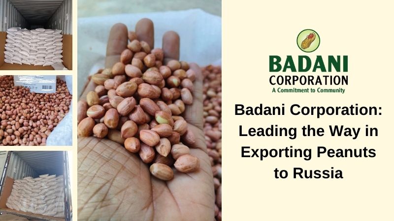 Leading the Charge in Peanut Exports: Badani Corporation's Strategic Journey to Russia