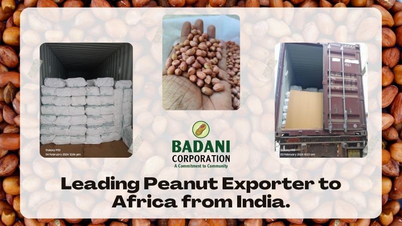 South Africa Exports of peanuts