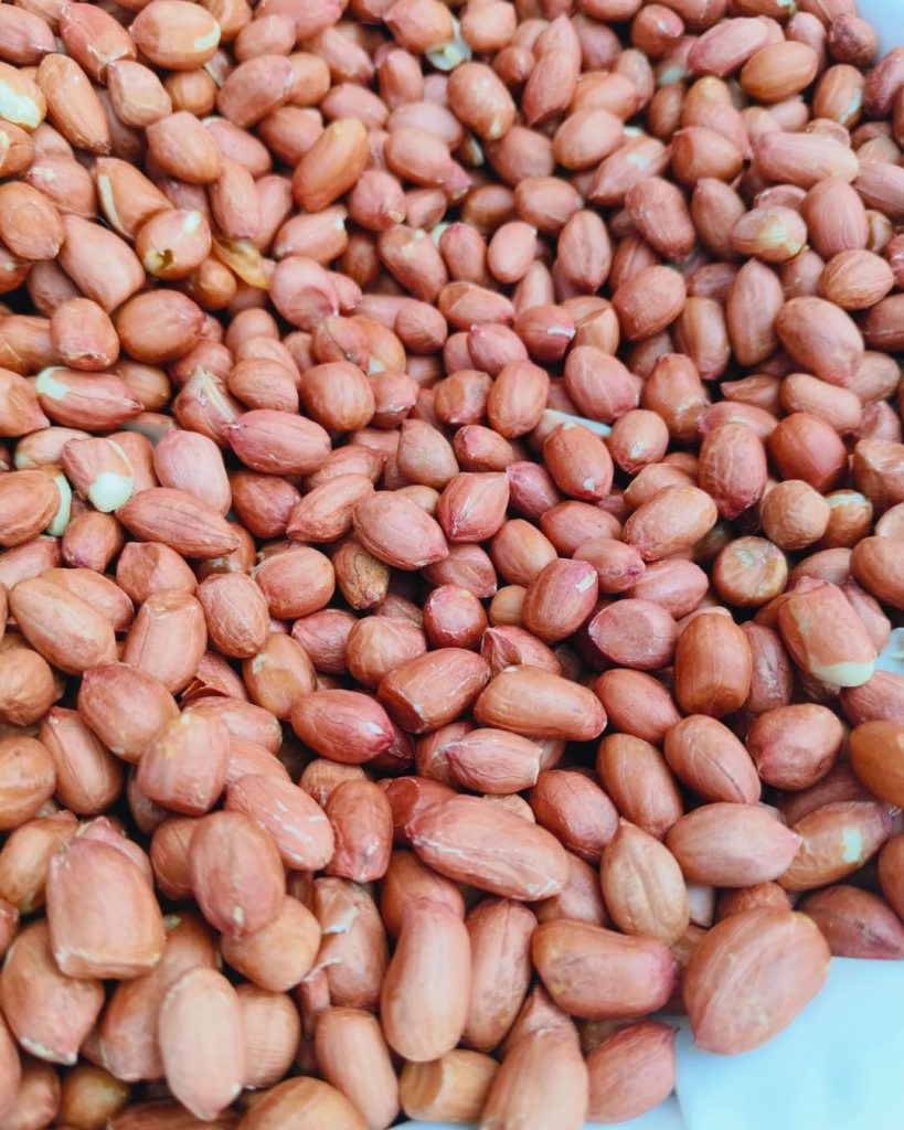 Bold Peanuts Suppliers, Manufacturers And Exporters In Junagadh Rajkot India