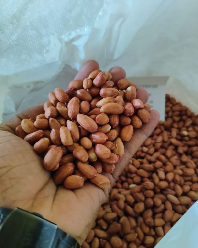 Peanut exporter in India