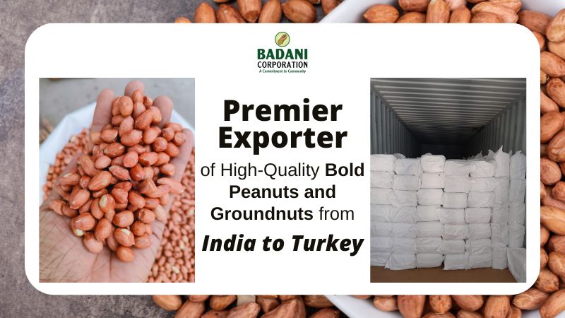 Badani Corporation: Premier Exporter of High-Quality Bold Peanuts and Groundnuts from India to Turkey