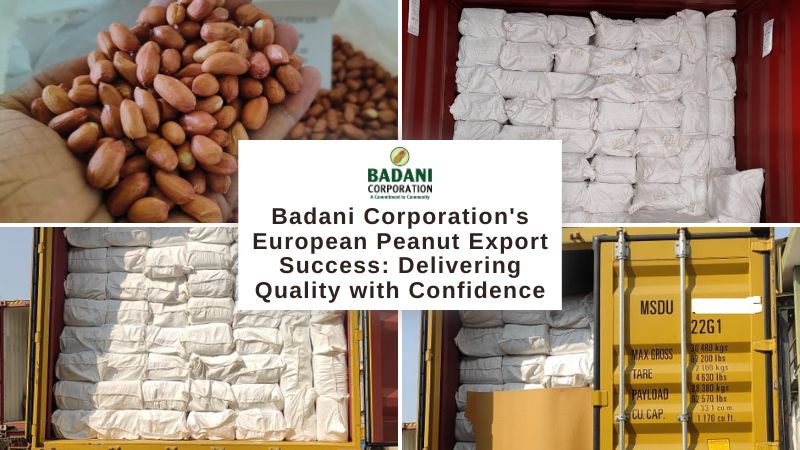 Badani Corporation's European Peanut Export Success: Delivering Quality with Confidence