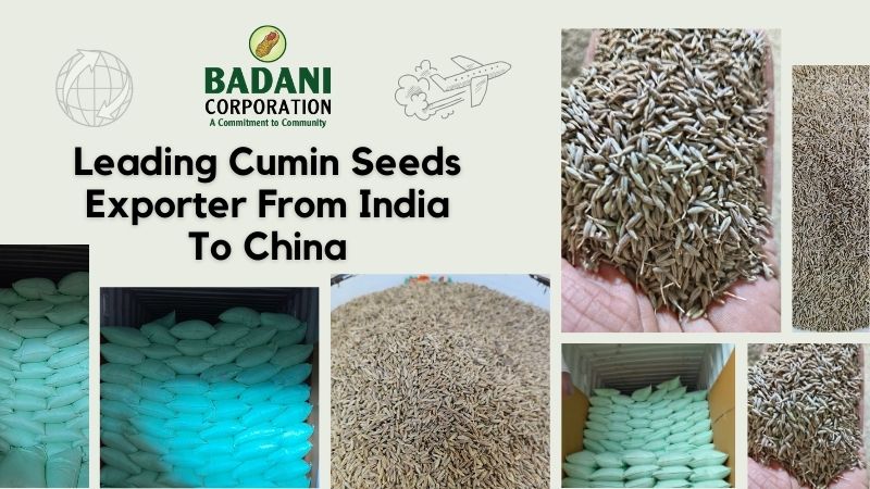 Cumin Exports from India to China
