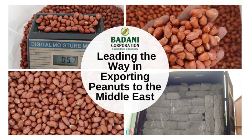 leading peanut exporter from India to the Middle East