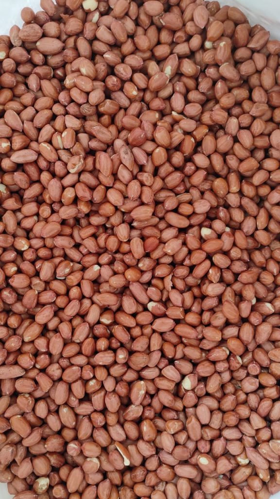 peanuts from India to the Middle East