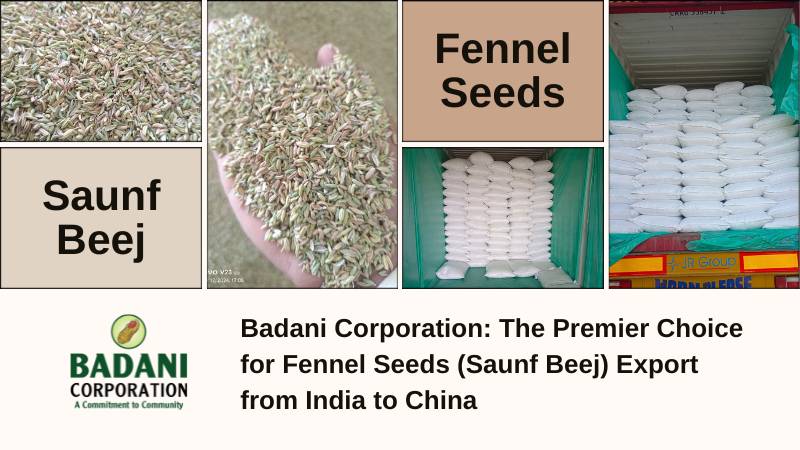 Badani Corporation: The Premier Choice for Fennel Seeds (Saunf Beej) Export from India to China.