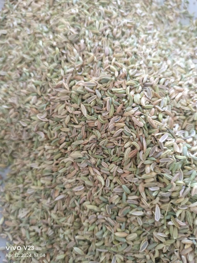 Buy Fennel seeds Saunf at Best Price in India