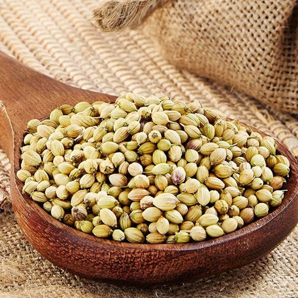 Indian Spices Coriander Seeds Exporters In India