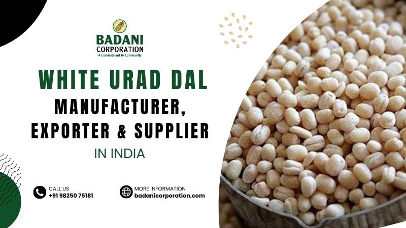 White Urad Dal (Orid Seeds) Manufacturer, Exporter, Supplier, Wholesaler from Junagadh, Gujarat, India: Badani Corporation.