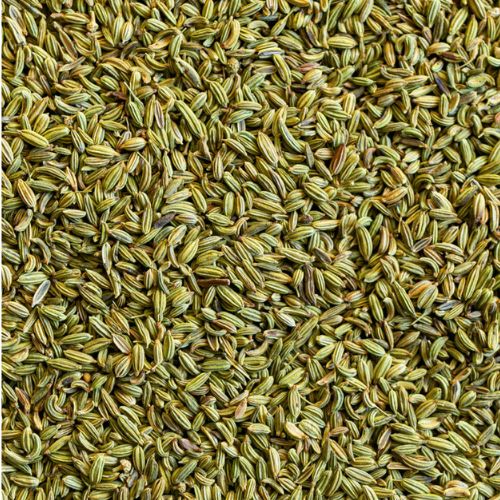 Premium Fennel Seeds - Saunf Beej Manufacturer Exporter and Supplier,