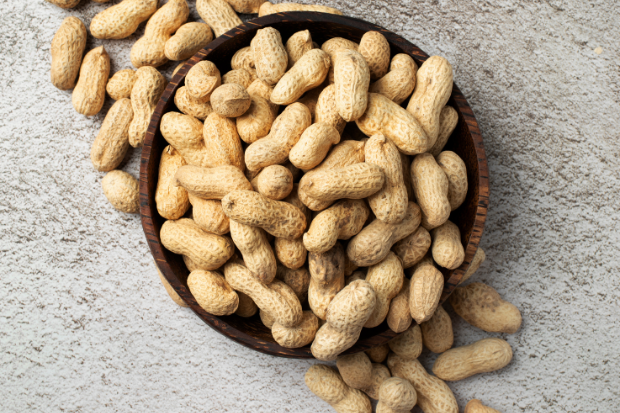 Top Manufacturer, Exporter & Supplier of Peanut in Shell (Moongphali, Groundnuts) in India - Badani Corporation