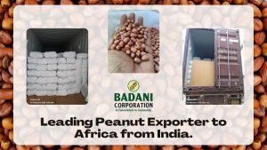 Badani Corporation: Leading Peanut Exporter to Africa from India. 