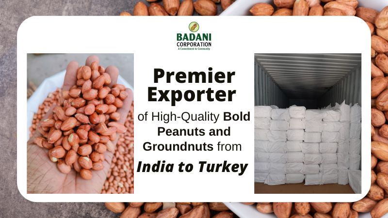 Best bold peanut exporters from India to Turkey