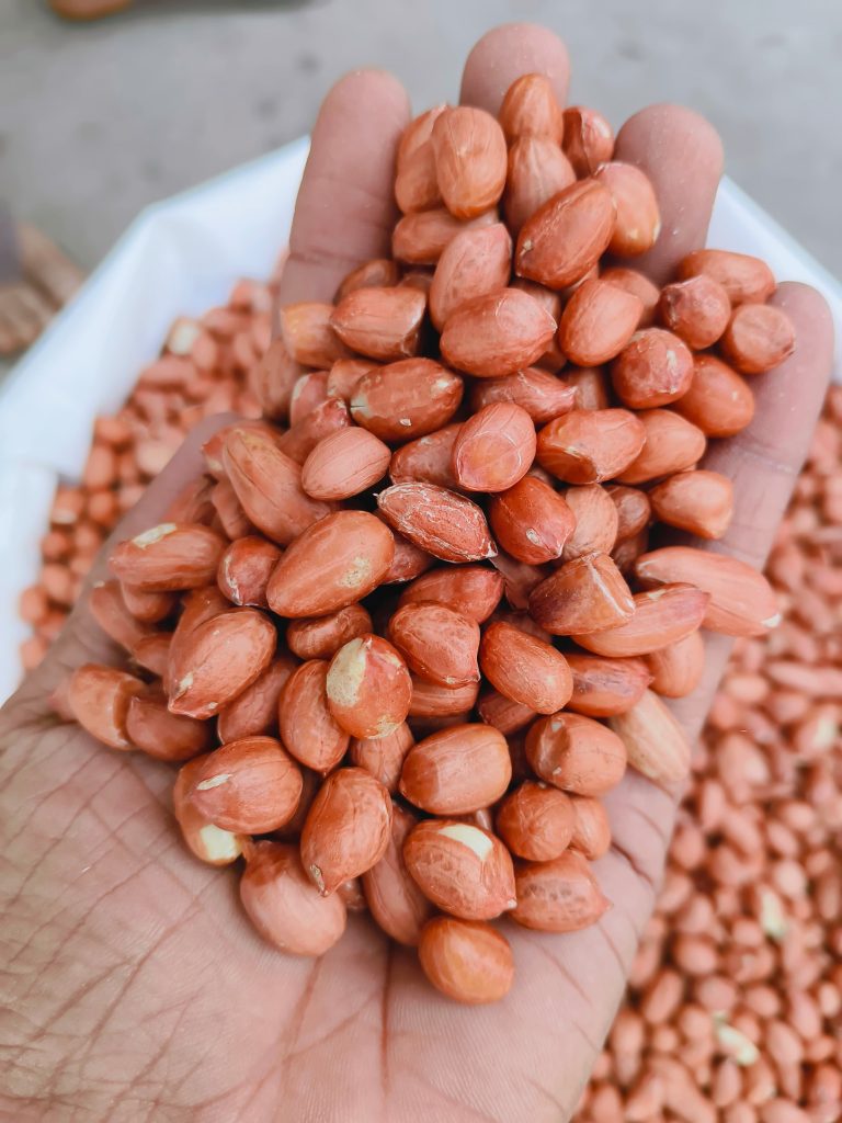 Premium bold peanuts manufacturer in India