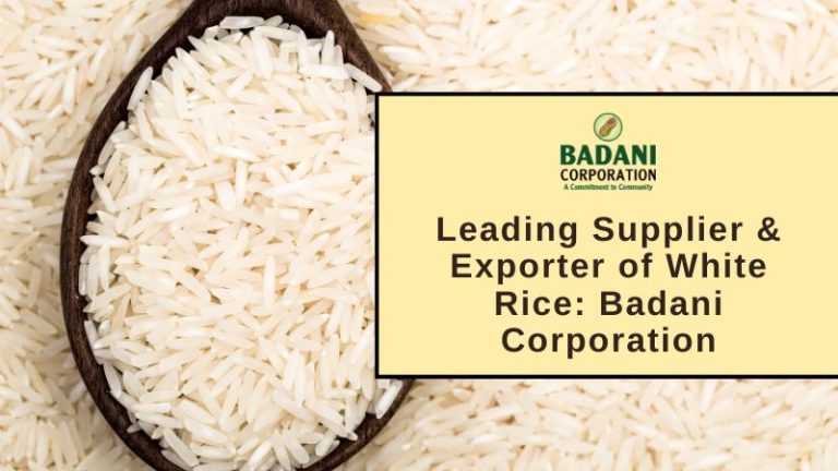 Leading Supplier & Exporter of White Rice: Badani Corporation