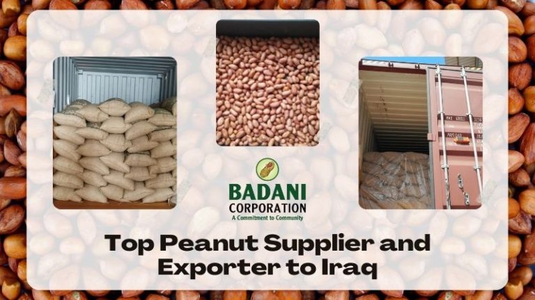 Top Peanut Supplier and Exporter to Iraq: Badani Corporation