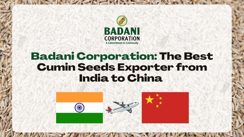 Badani Corporation- The Best Cumin Seeds Exporter from India to China