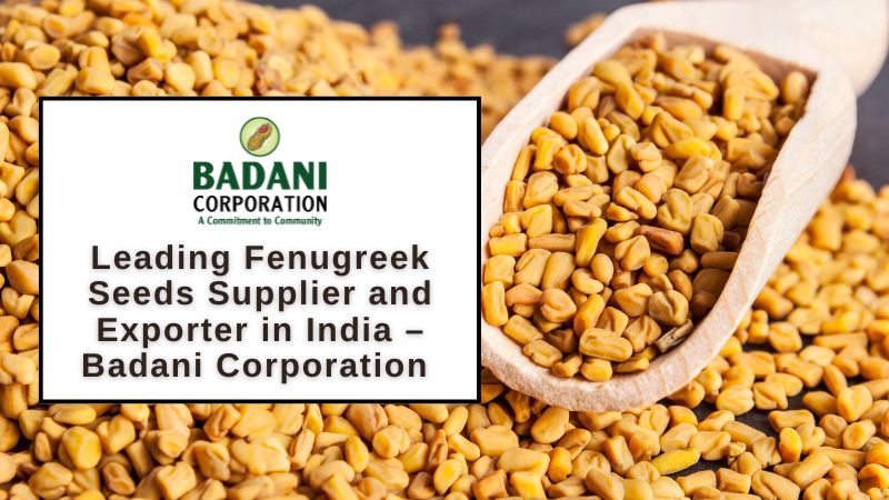 Leading Fenugreek Seeds Supplier and Exporter in India – Badani Corporation ​