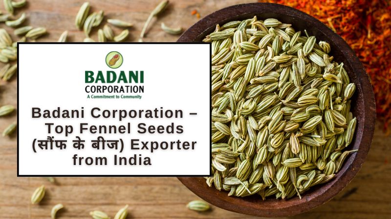 Badani Corporation – Top Fennel Seeds (सौंफ के बीज) Exporter from India