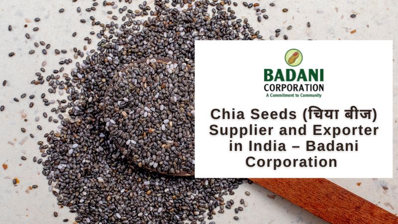 Chia Seeds (चिया बीज) Supplier and Exporter in India – Badani Corporation