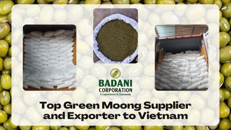 Best Green Moong (हरी मूंग दाल) Exporter from India to Vietnam – Badani Corporation