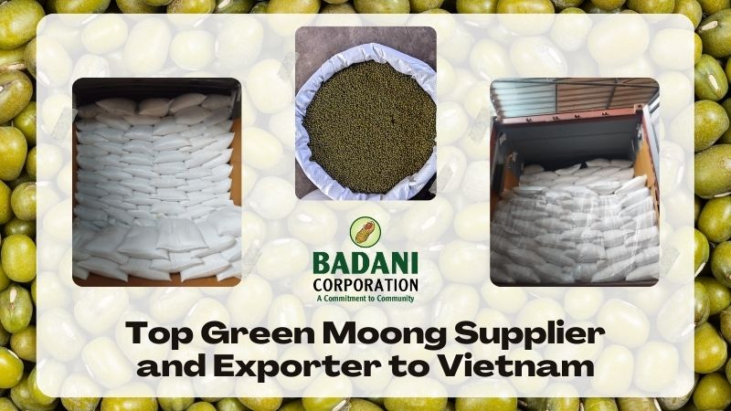 Best Green Moong (हरी मूंग दाल) Exporter from India to Vietnam – Badani Corporation