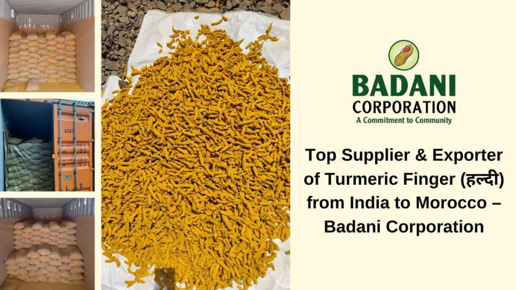 Top Supplier & Exporter of Turmeric Finger (हल्दी) from India to Morocco – Badani Corporation