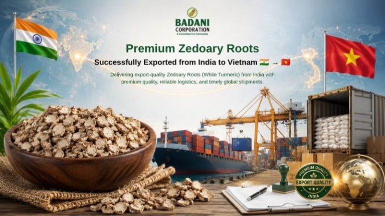 Badani Corporation Successfully Exports Premium Zedoary Roots to Vietnam | Strengthening India’s Global Herbal Trade